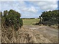 SW6717 : A camping field near Isle of Wight by David Medcalf