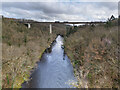 SJ2940 : River Dee and the Dee Viaduct by TCExplorer