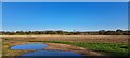 TM4367 : Field north of Reckford Bridge by Christopher Hilton