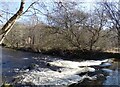 NZ0851 : Old weir on the Derwent by Robert Graham