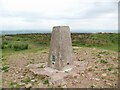 ST4857 : Triangulation Pillar, Blagdon by Adrian Taylor