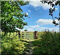 SJ6302 : Gate along the Shropshire Way by Mat Fascione