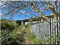 SK4484 : Path under the A57 by David Lally