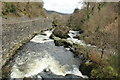 SH7553 : Afon Lledr beside A470 at Pont-y-Pant by Richard Hoare