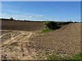 TF8038 : Two ploughed fields by David Lally