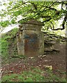 NS8979 : Ice house, Callendar Park by Richard Sutcliffe