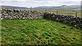 SD9091 : Moorland view over junction of dry stone walls at Sargill Gate by Luke Shaw