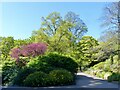 ST3087 : Spring colours, Belle Vue Park, Newport (6) by Robin Drayton