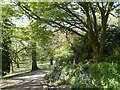 ST3087 : Spring colours, Belle Vue Park, Newport (7) by Robin Drayton