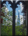 TQ3280 : A view of The Shard from St Dunstan-in-the-East by Roger Jones