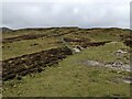 NY2318 : The path across Bull Crag fell by David Medcalf