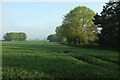 ST9515 : Field, Farnham by Derek Harper