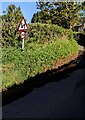 SO4510 : Warning sign on a grass bank, Dingestow by Jaggery