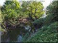 SJ5114 : Islet on the River Severn by TCExplorer