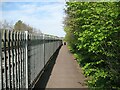 NY3851 : The Caldew Cycleway beside the River Caldew by Adrian Taylor