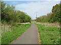 NY3750 : The Cumbria Way near Dalston by Adrian Taylor