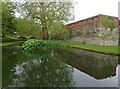 TQ4274 : The moat at Eltham Palace by Marathon