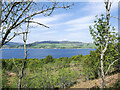 NS0531 : Woodland at north end of Holy Island by Trevor Littlewood