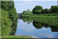 NS5269 : Forth and Clyde Canal by Richard Sutcliffe