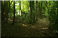 SX7878 : Templer Way, Yarner Wood by Derek Harper