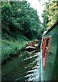 SJ6931 : Passing 'Lamprey' in Woodseaves Cutting, Shropshire Union Canal, 1969 by Martin Tester