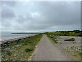 NH7756 : Ardersier Beach Walk by Ralph Greig