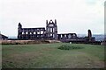 NZ9011 : Windswept Whitby Abbey  Whitby, North Yorkshire by Martin Richard Phelan