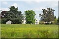 SU4763 : Buttercup Meadow at Newtown House by Des Blenkinsopp