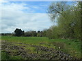 J4668 : Field and trees at the southern edge of Comber by Christine Johnstone