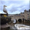 ST7564 : Pulteney Bridge by Anthony Parkes