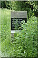 TL9991 : All Saints Church sign, Snetterton by Geographer