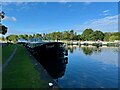 TQ0567 : Houseboat on The Thames at Chertsey weir by David Lally