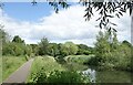 SU7171 : The Kennet Towpath, Whitley by Des Blenkinsopp