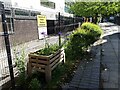 SE2434 : Planters outside St Peter's Primary School by Stephen Craven