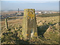 NT1889 : Triangulation Pillar, Pilkham Hills by Adrian Taylor