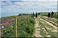 TA1974 : Clifftop at RSPB Bempton by David Dixon