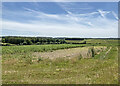 TL6154 : East Cambridgeshire hills by John Sutton