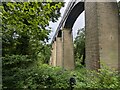 SJ2742 : Arches of the Pontcysyllte Aqueduct by TCExplorer