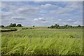 SK9221 : A field in Lincolnshire by Bob Harvey