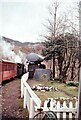 SH6541 : 'Blanche' is watered at Tan y Bwlch by Martin Tester