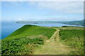 SN0041 : The Pembrokeshire Coast Path at Pen y Fan by Jeff Buck