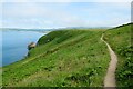 SN0141 : The Pembrokeshire Coast Path on Dinas Island by Jeff Buck