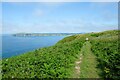 SN0140 : The Pembrokeshire Coast Path approaching Newport Bay by Jeff Buck