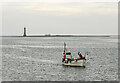 J2310 : Boat, Carlingford Lough by Rossographer