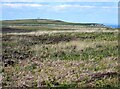 SS1346 : Lundy - View NNE to Tibbett's coastguard lookout by Rob Farrow