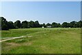 TQ5739 : Upper Cricket Ground from Wellington Rocks by DS Pugh