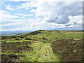 SD6688 : Path with Brown Knott ahead by Trevor Littlewood