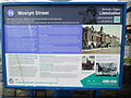 SH7882 : No 15 Mostyn Street Information Board by David Hillas