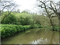 SJ9949 : The River Churnet at Consall Wood by Christine Johnstone