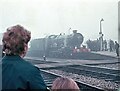 SO5140 : Return to Steam Special waits at Hereford Station, 1971 by Martin Tester